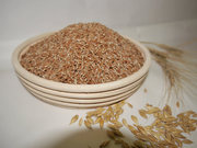 Зерно,  пшеница для проращивания.
